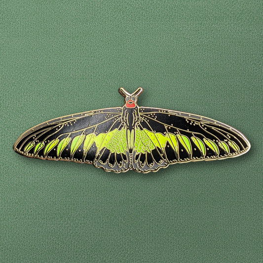 Rajah Brooke's Birdwing Butterfly Enamel Pin