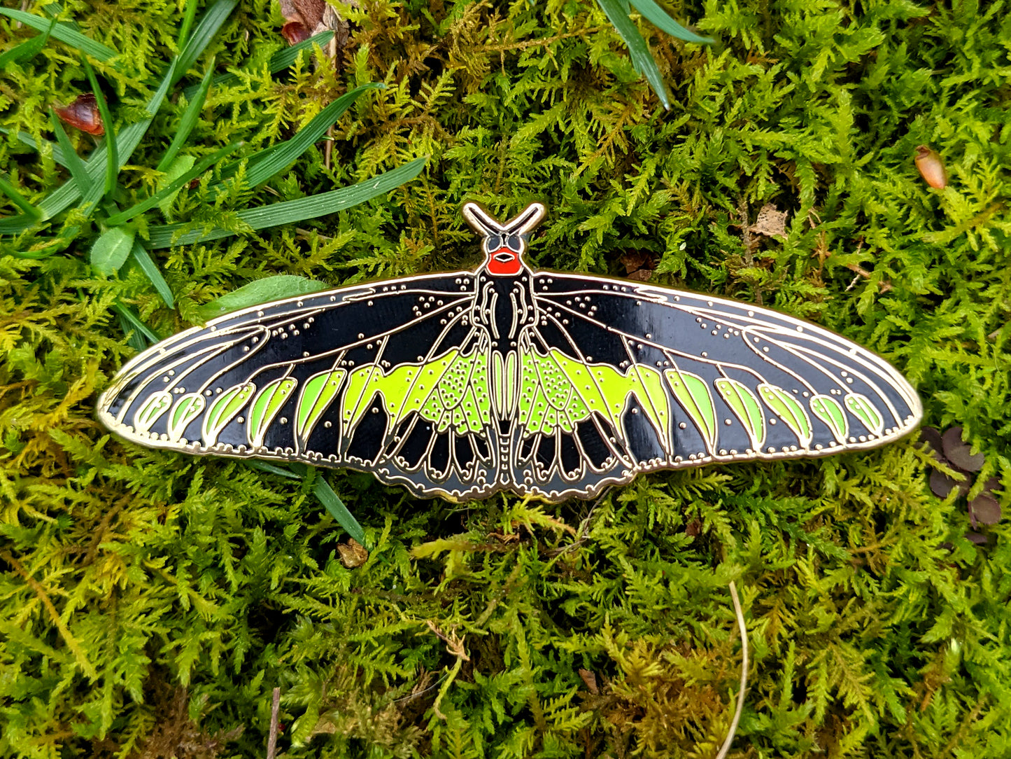 Rajah Brooke's Birdwing Butterfly Enamel Pin (B Grade)