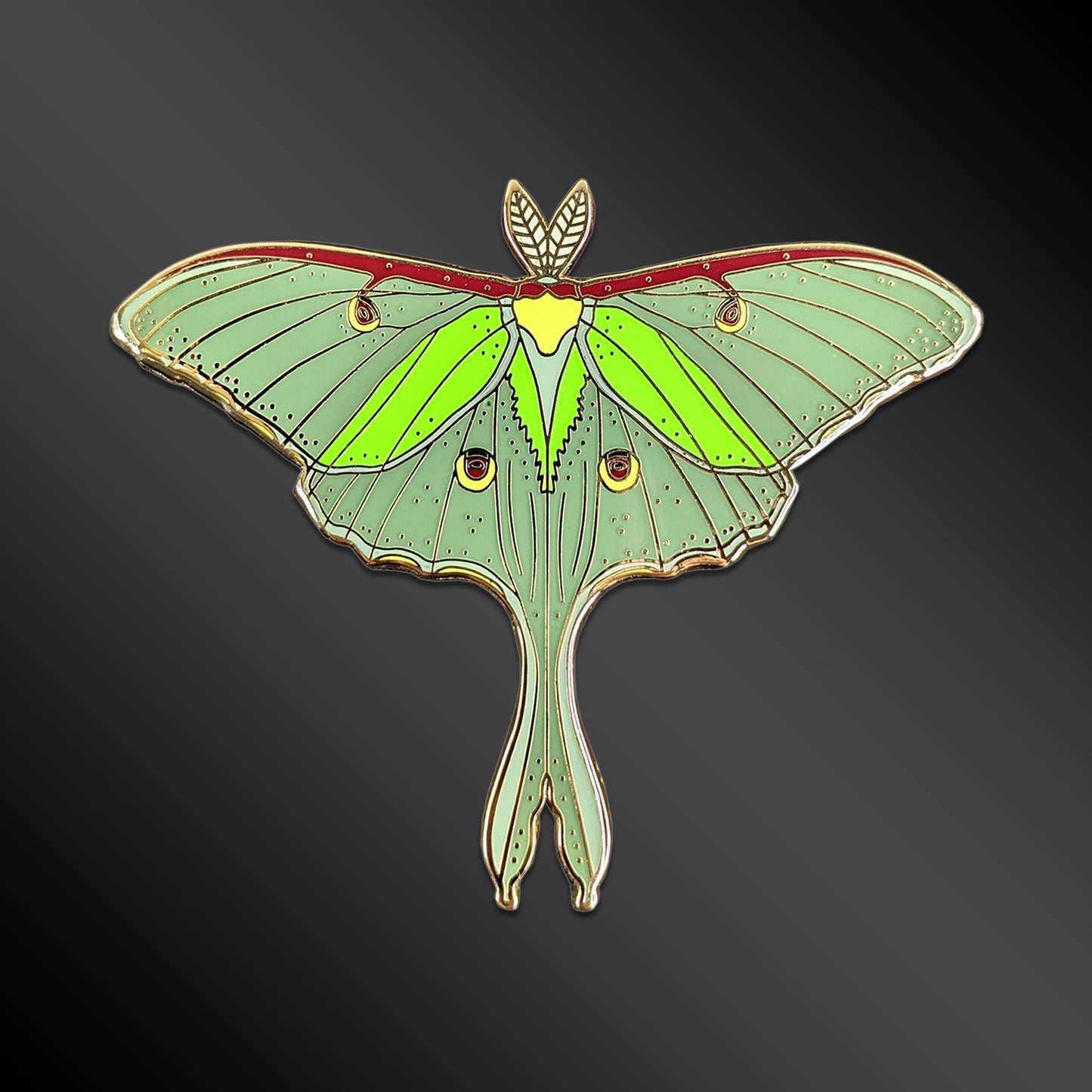 Luna Moth enamel pin with nocturnal insect design
