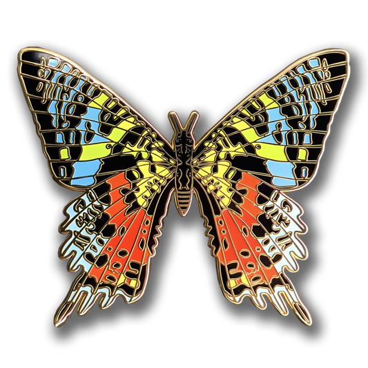 Madagascan Sunset Moth Enamel Pin