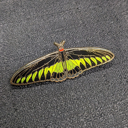 Rajah Brooke's Birdwing Butterfly Enamel Pin