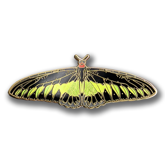 Rajah Brooke's Birdwing Butterfly Enamel Pin