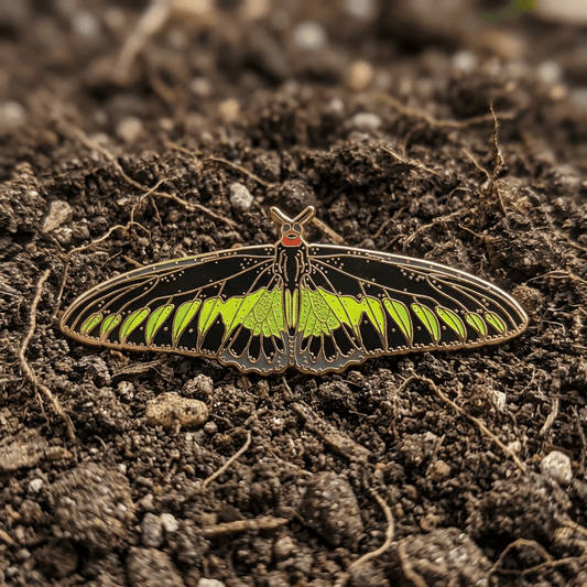 Rajah Brooke's Birdwing Butterfly Enamel Pin