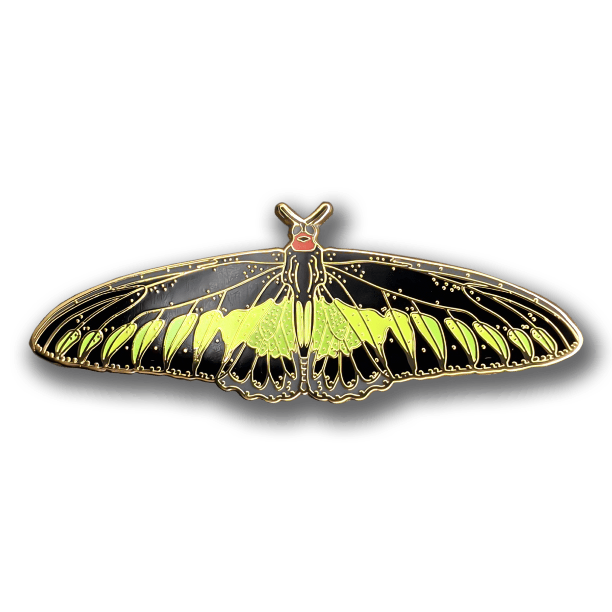Rajah Brooke's Birdwing Butterfly Enamel Pin