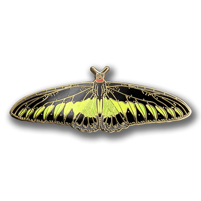 Rajah Brooke's Birdwing Butterfly Enamel Pin