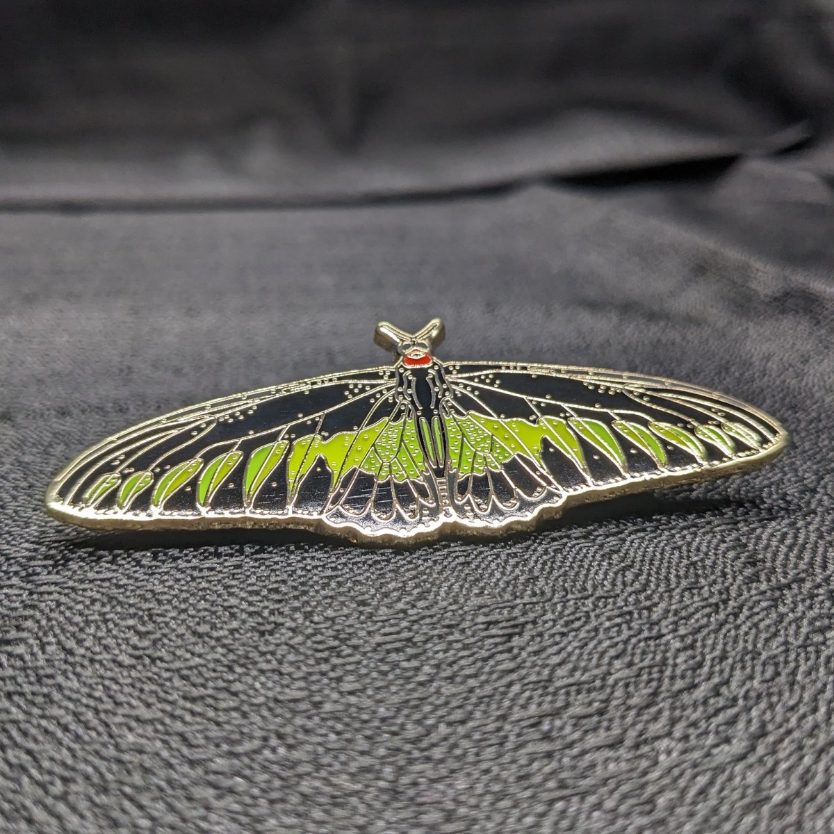 Rajah Brooke's Birdwing Butterfly Enamel Pin (B Grade)