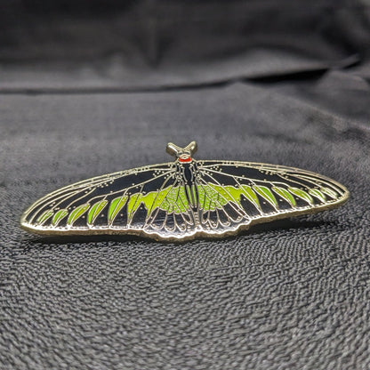 Rajah Brooke's Birdwing Butterfly Enamel Pin (B Grade)