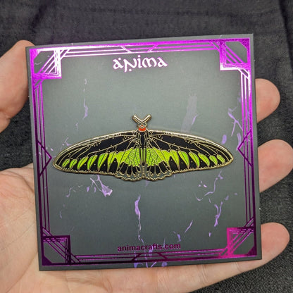 Rajah Brooke's Birdwing Butterfly Enamel Pin (B Grade)