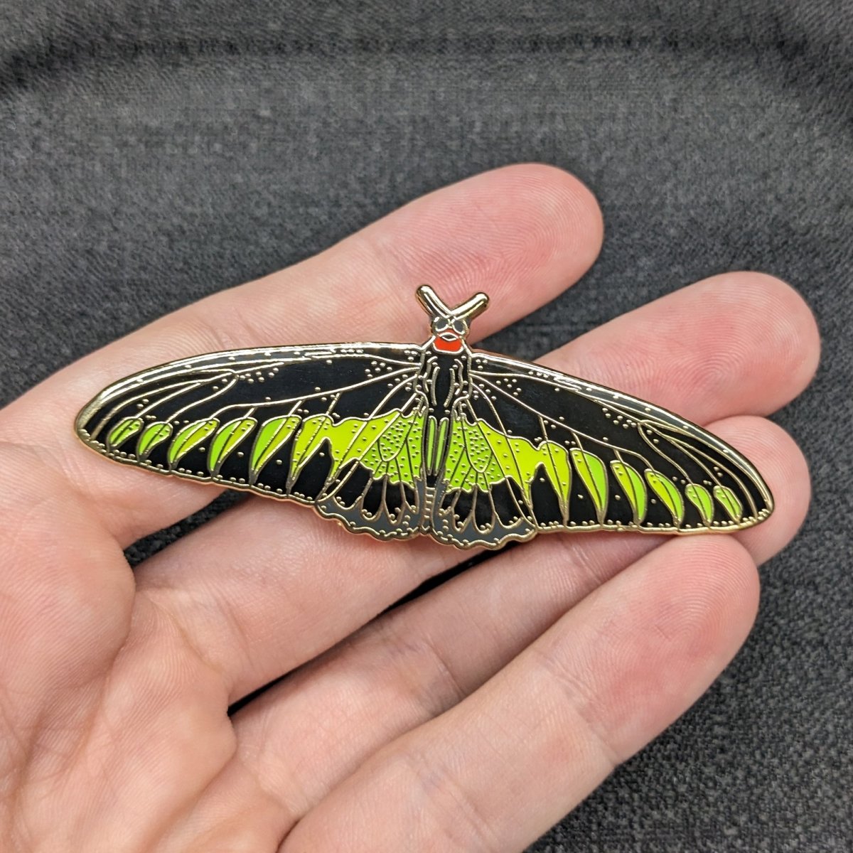 Rajah Brooke's Birdwing Butterfly Enamel Pin (B Grade)