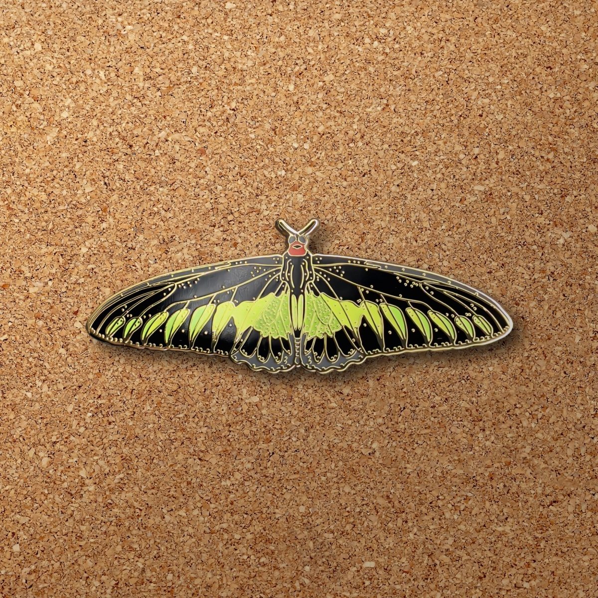 Rajah Brooke's Birdwing Butterfly Enamel Pin (B Grade)