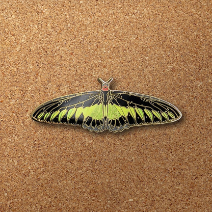 Rajah Brooke's Birdwing Butterfly Enamel Pin (B Grade)