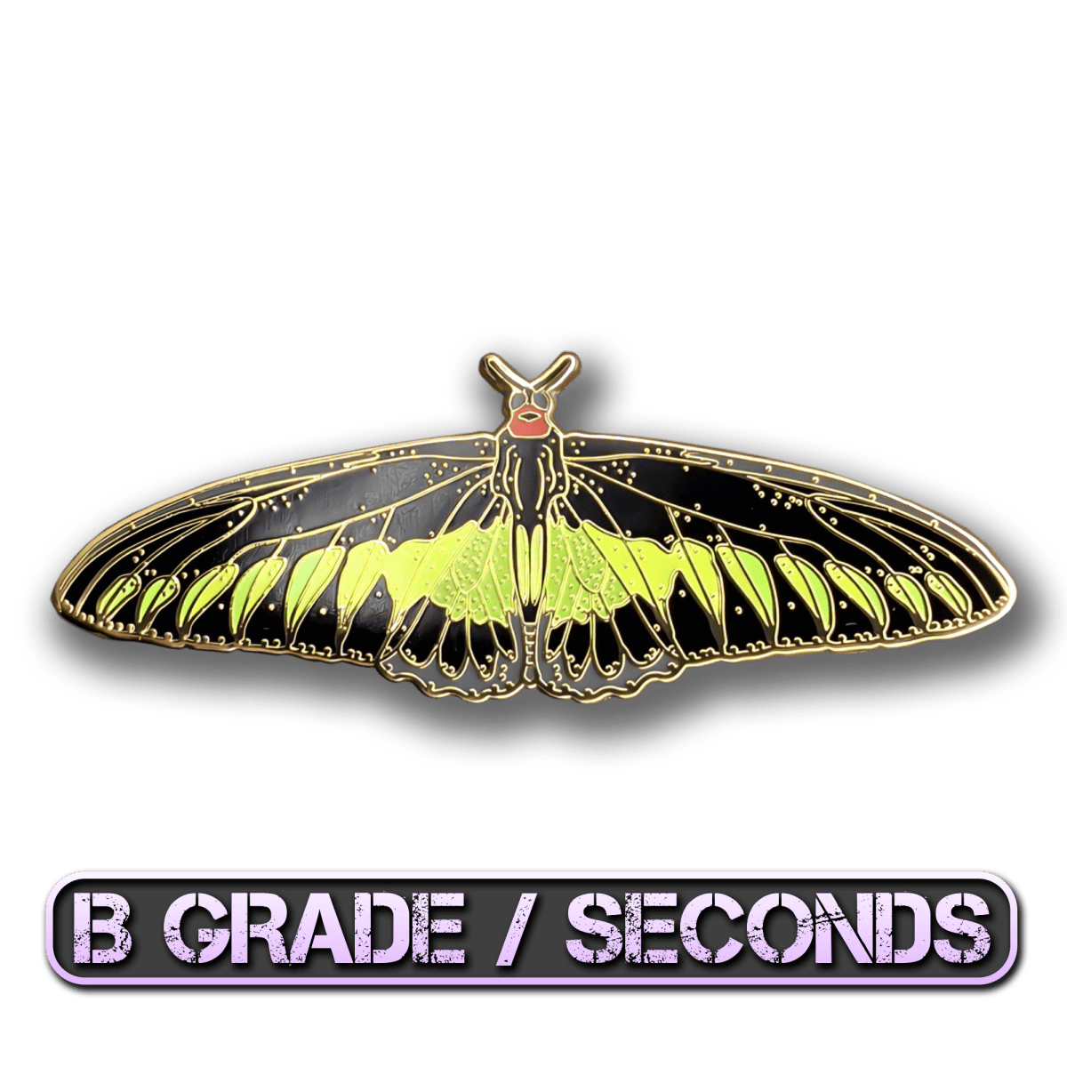 Rajah Brooke's Birdwing Butterfly Enamel Pin (B Grade)
