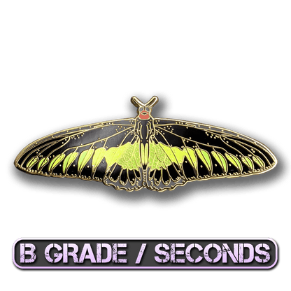 Rajah Brooke's Birdwing Butterfly Enamel Pin (B Grade)