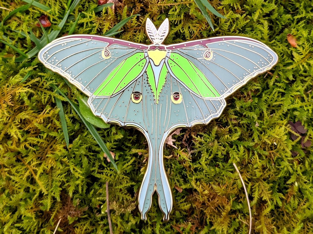 Luna Moth Enamel Pin (B Grade)